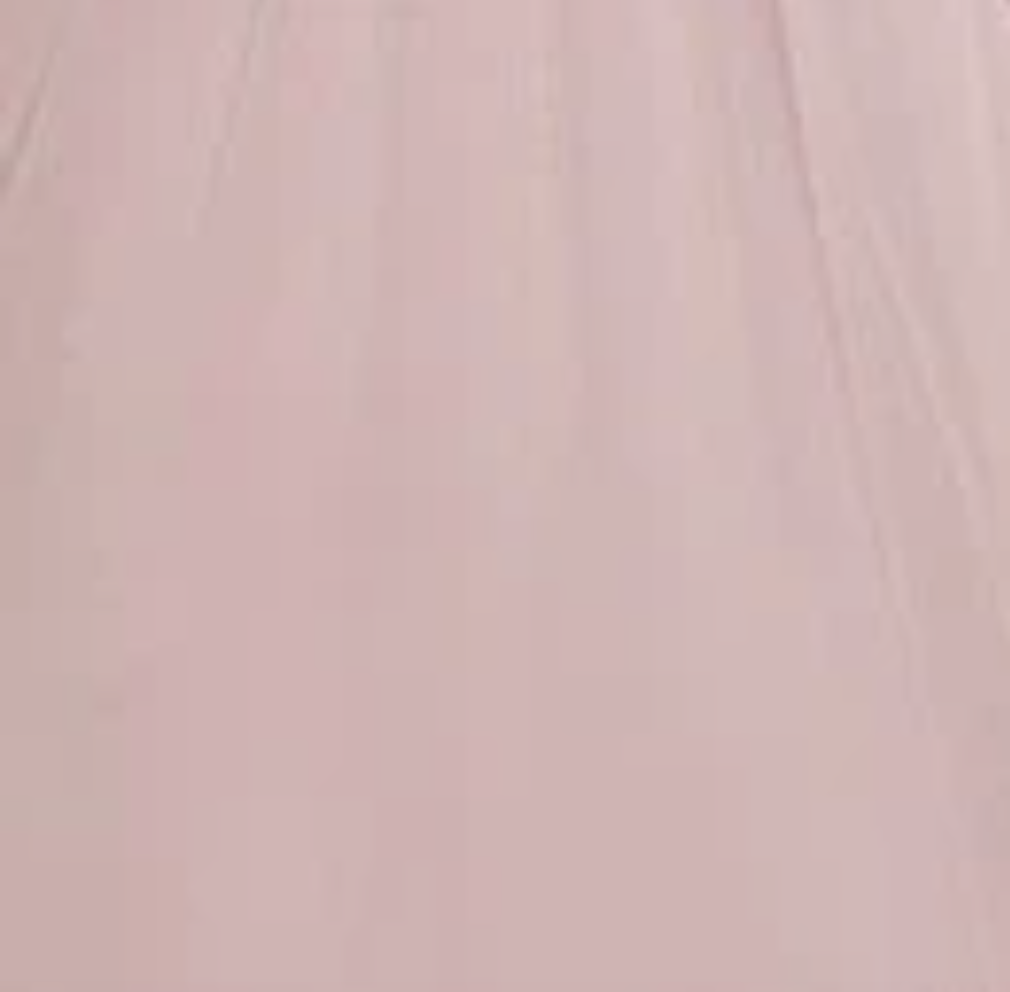 The Wedding Website of Vanessa Anderson and William Mavrode