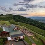 Carter Mountain Orchard