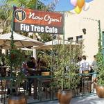 Fig Tree Cafe