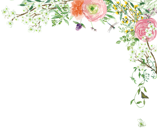 Emily Ranschaert and Gabriel Ahlquist's Wedding Website
