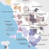 Tuscan Wines Around Lucca