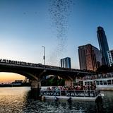 Bat Watching Cruise