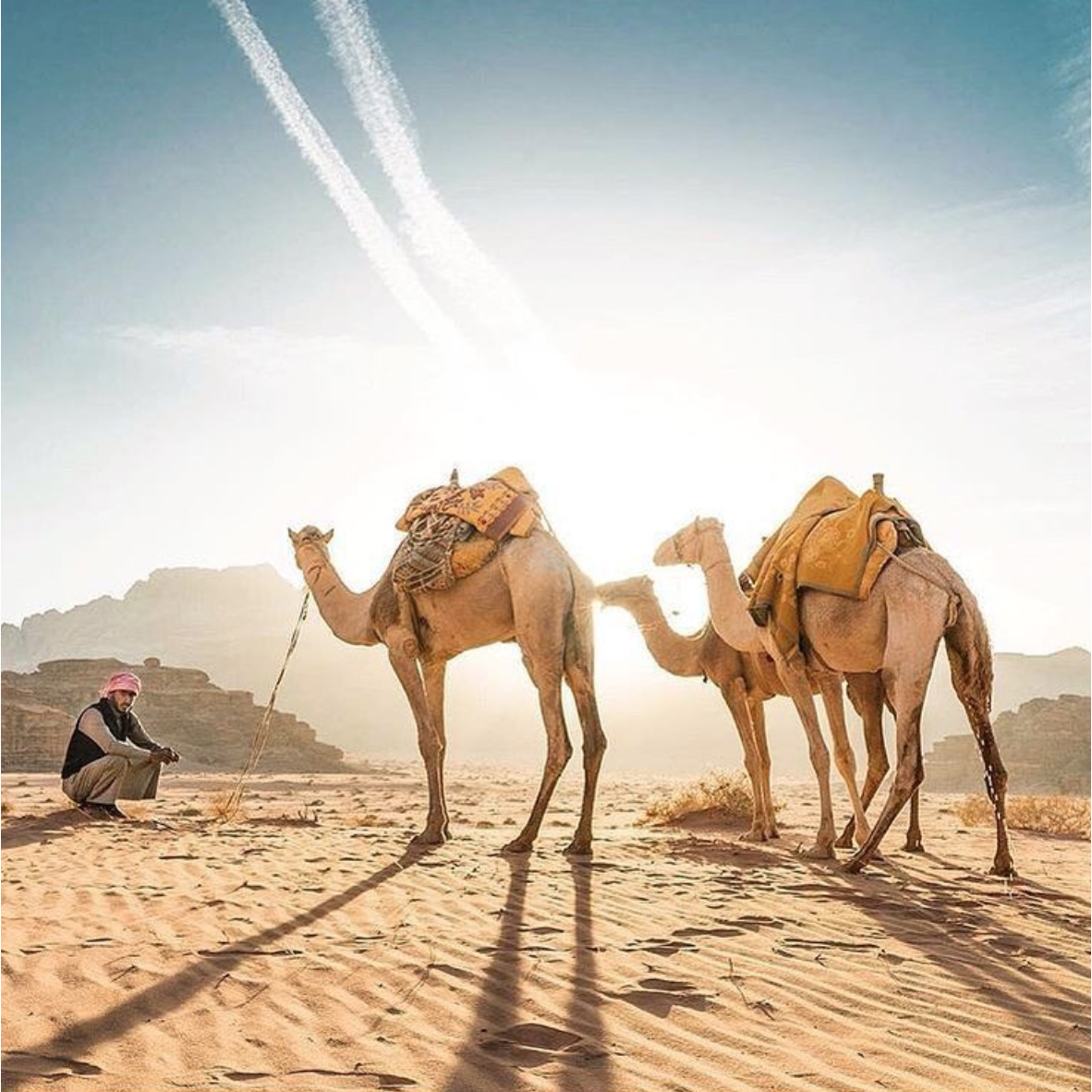 Or at sunrise depending on when we get there!
Both amazing experiences!