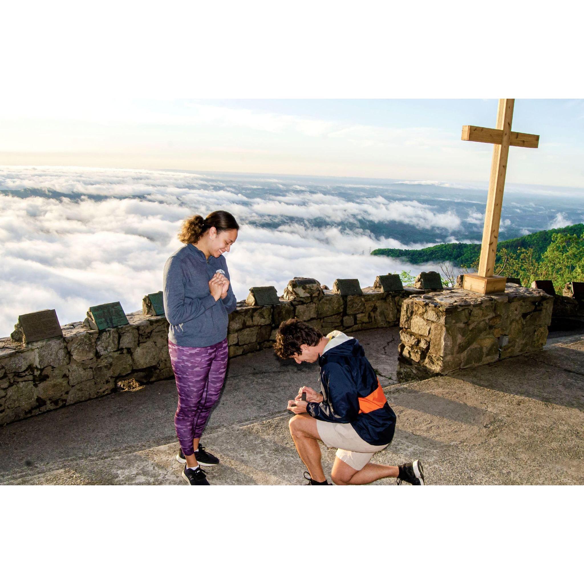 The proposal!