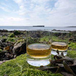 Whiskey Tasting For Two