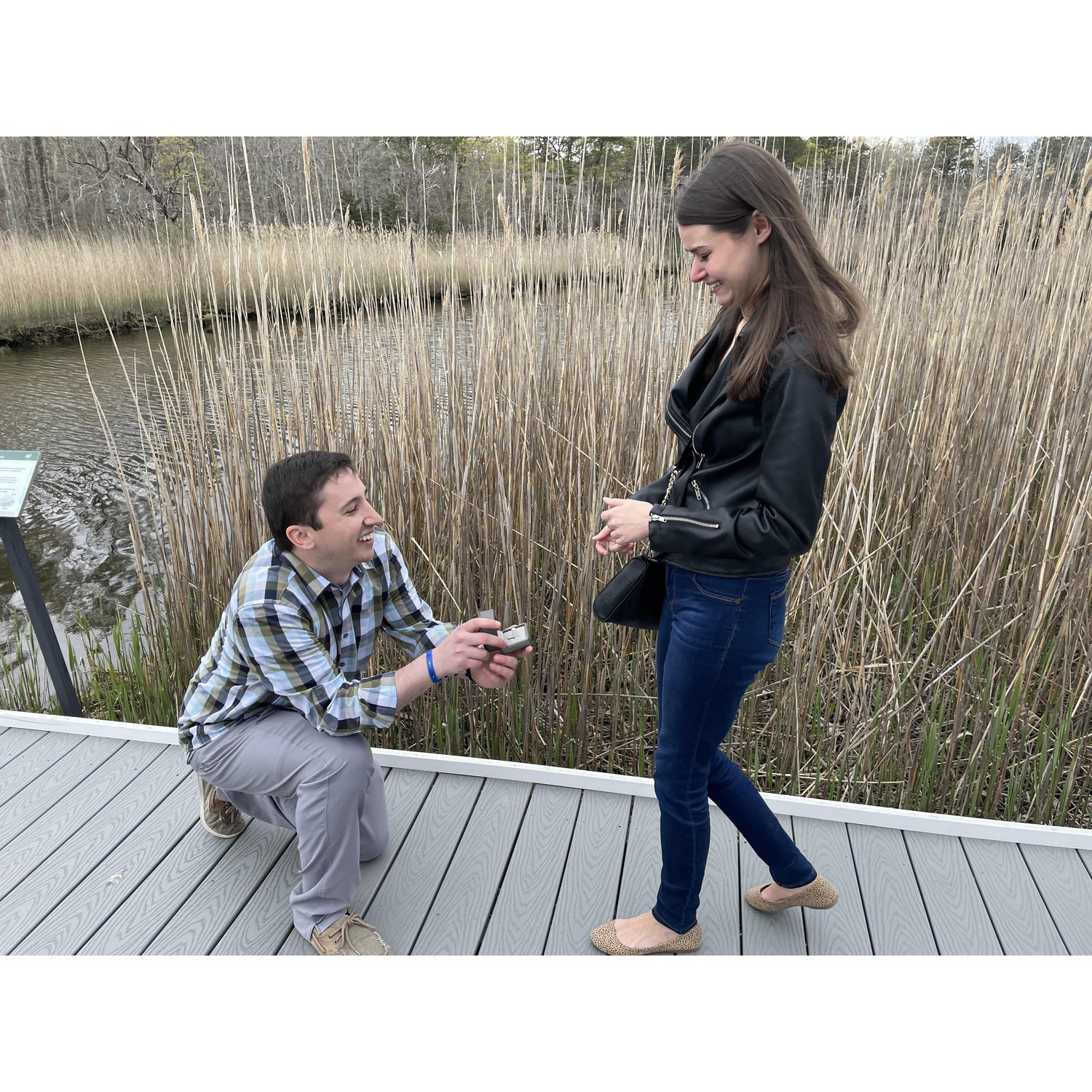 The Proposal!