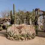 El Huerto Farm to Table