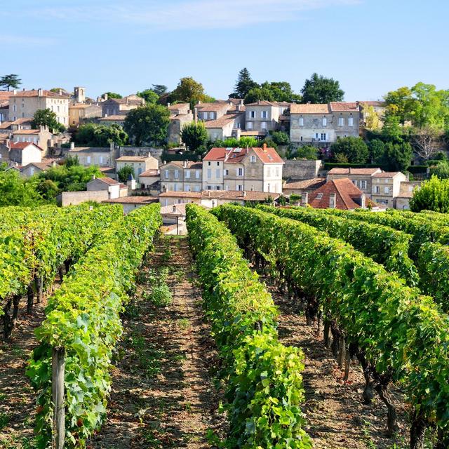 Wine from Château Gruaud-Larose in Saint Julien