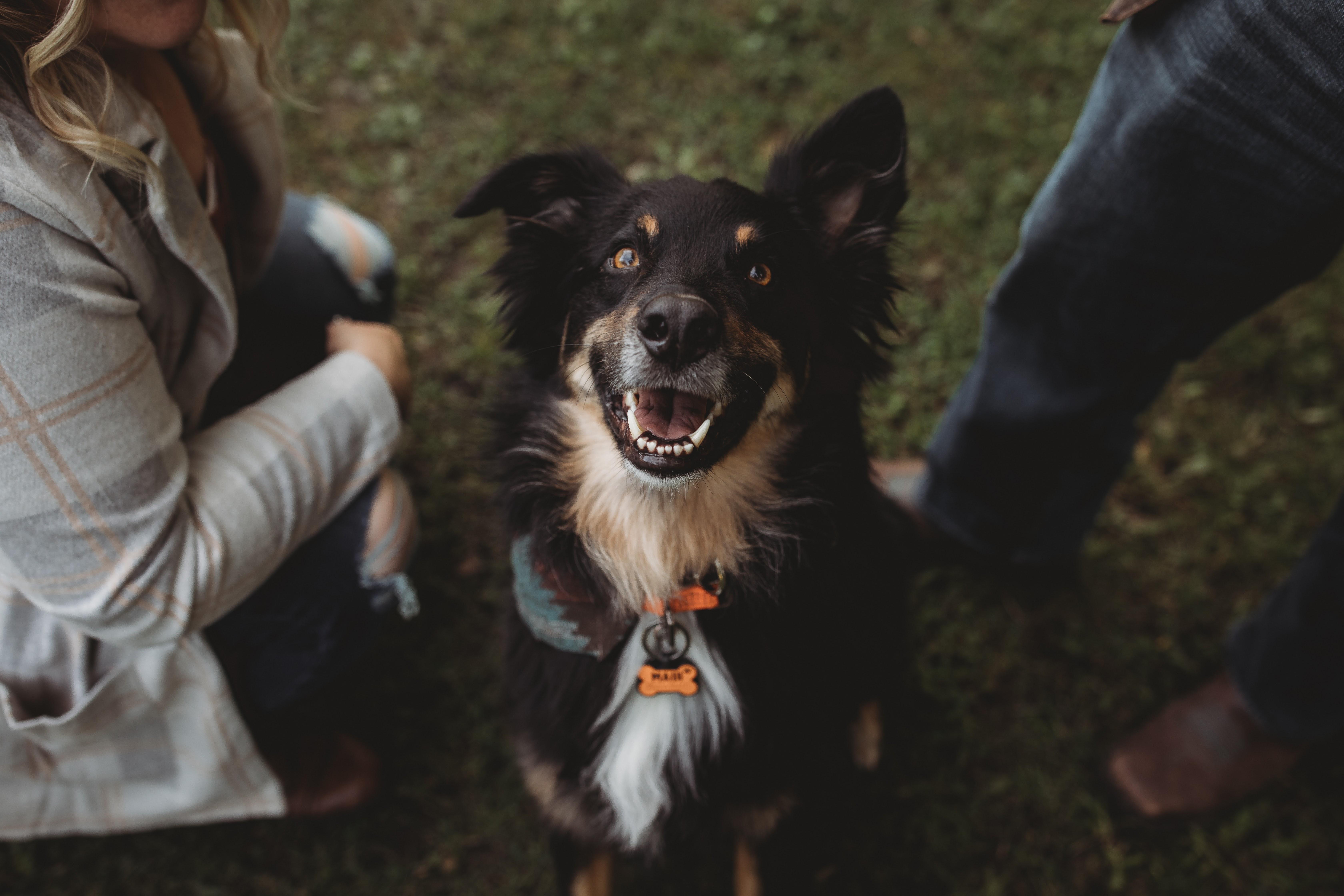 The Wedding Website of Paige McDade and Nathan McDade