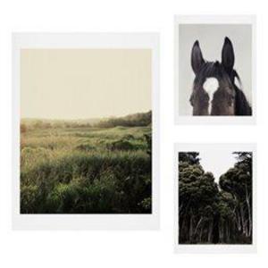 Deny Designs The Meadow 3-Piece Gallery Wall Art Print Set