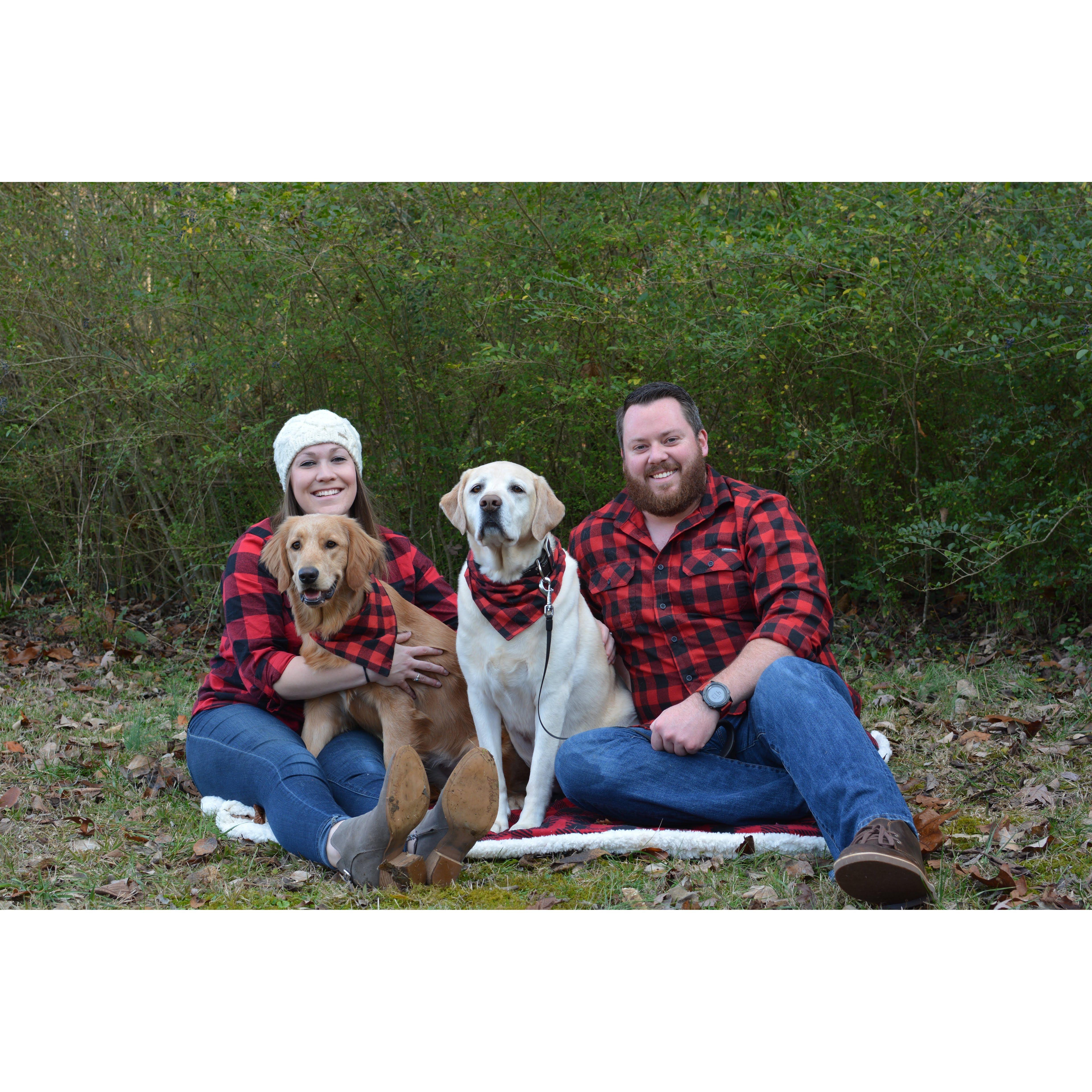 Christmas Card 2019