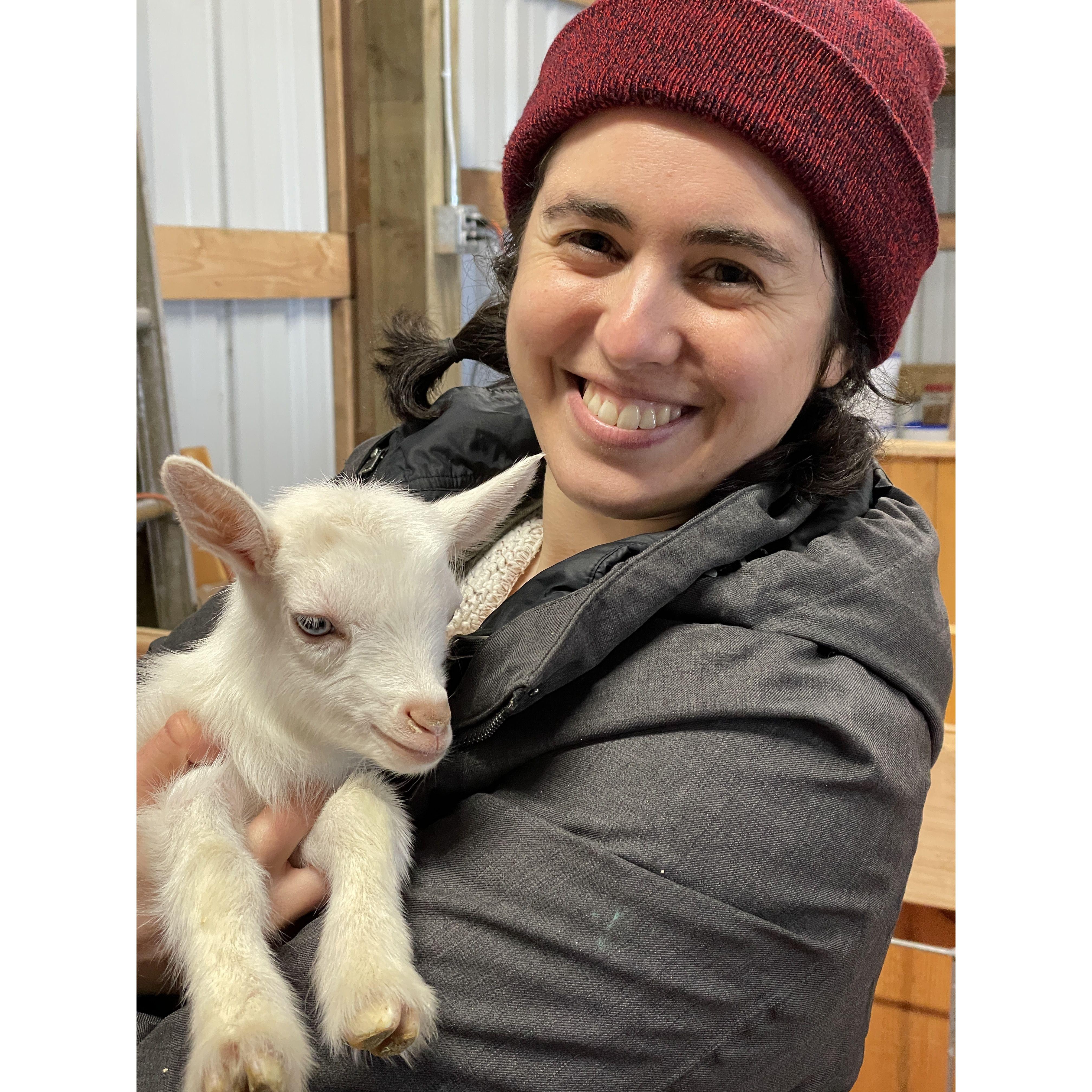 Baby goats!