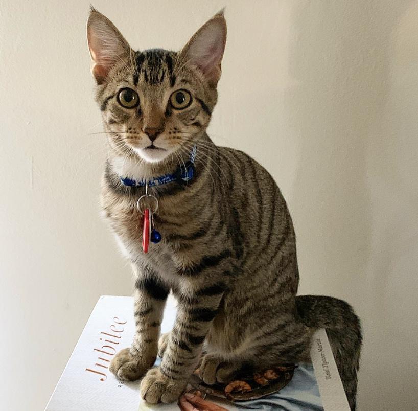 And Baban (mommy’s little wonton)