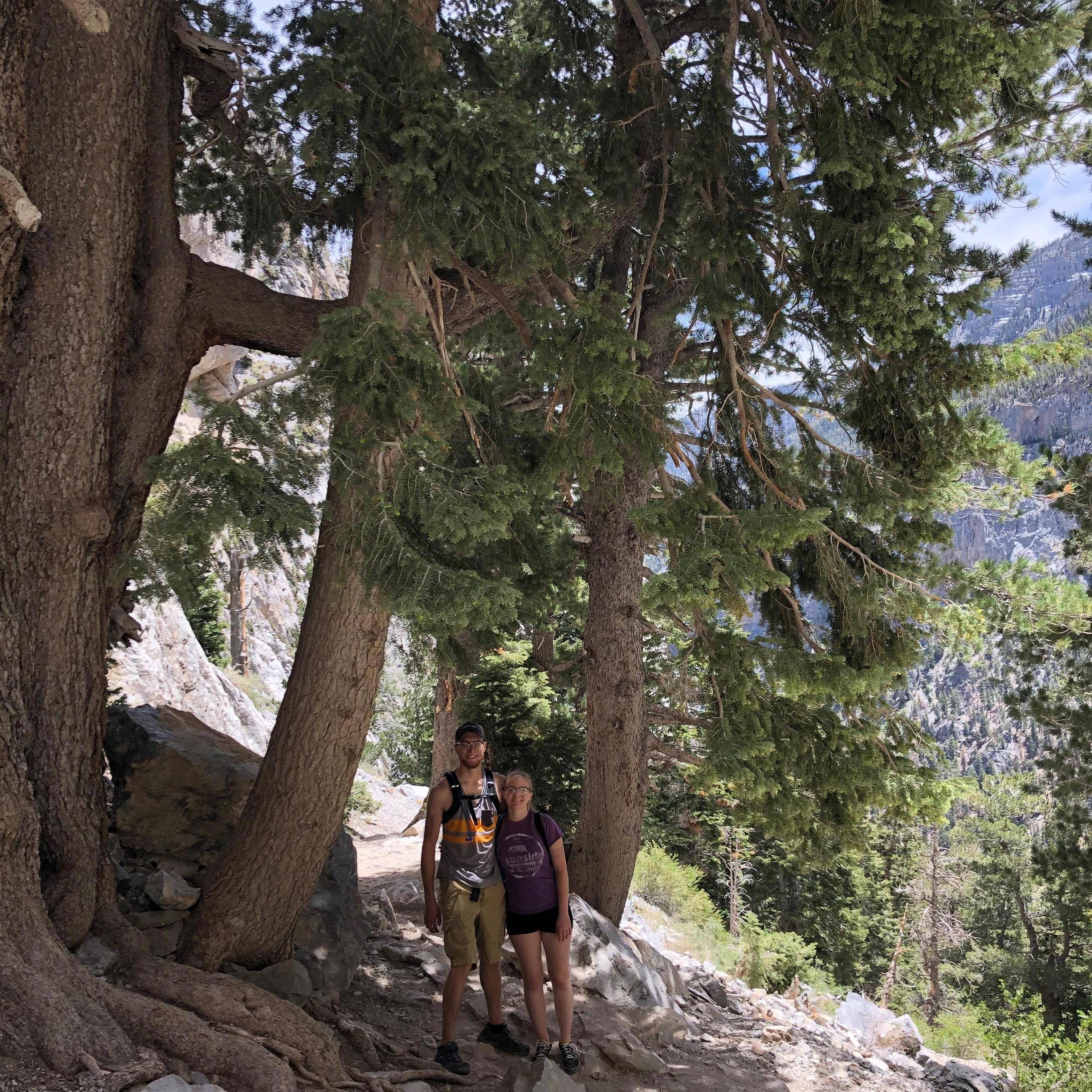 Hiking in Mt. Charleston