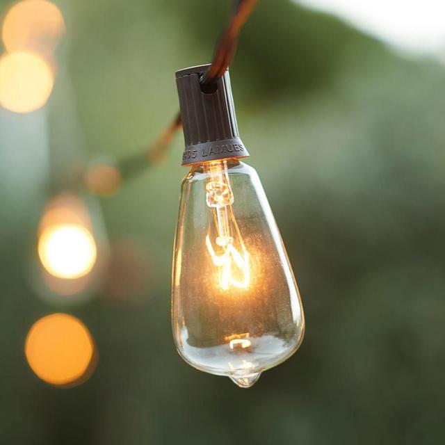 Edison String Lights - 20 Bulb Strand
