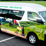 Bay Tours And Charters