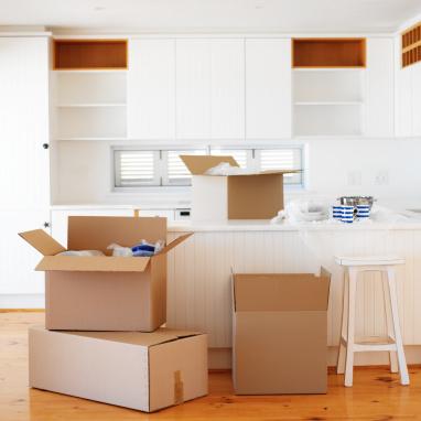 Setting up House