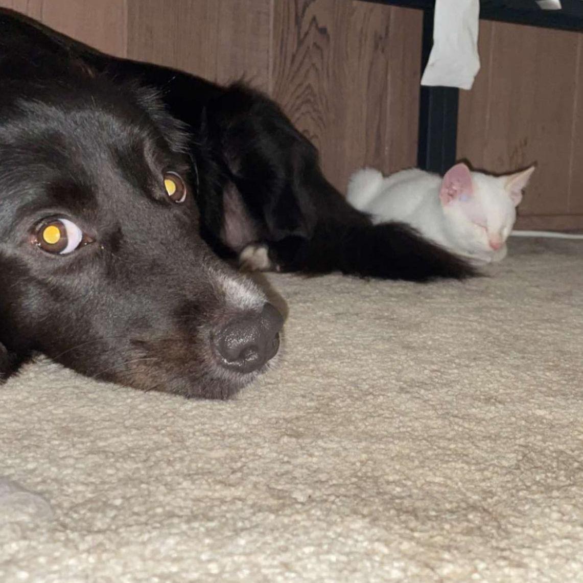 Best Friends
