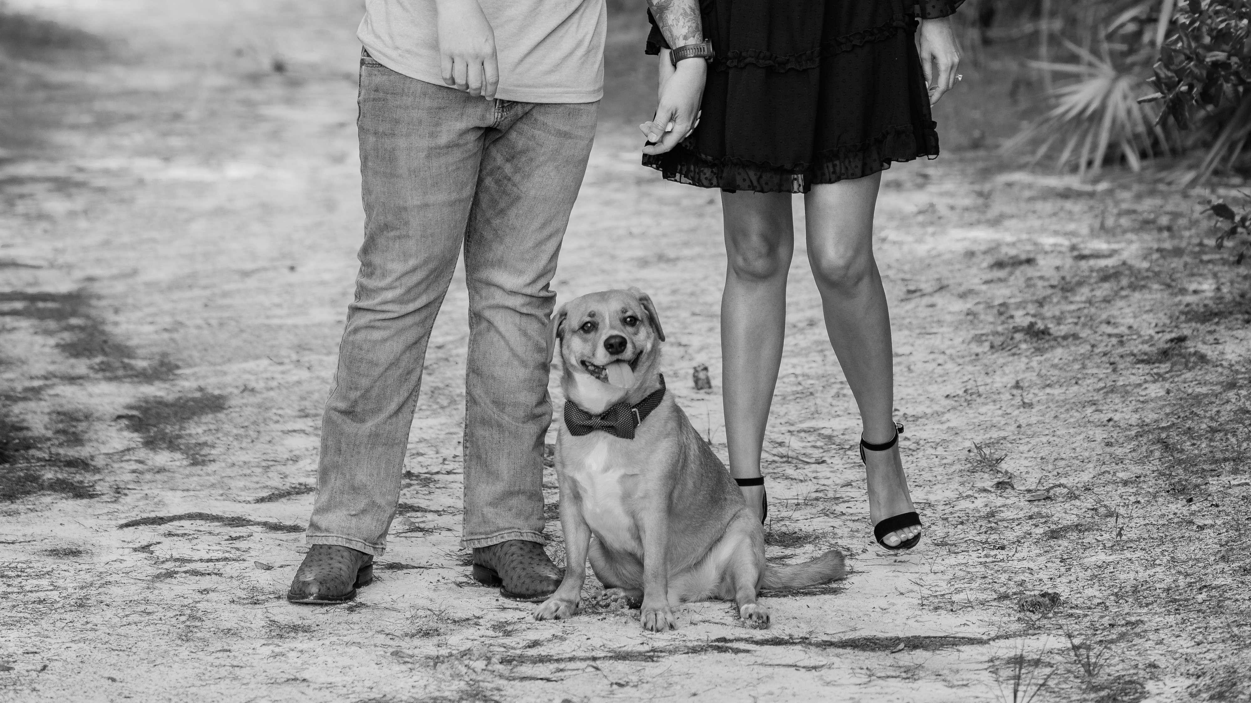 The Wedding Website of Kylie Strain and Daniel Strain
