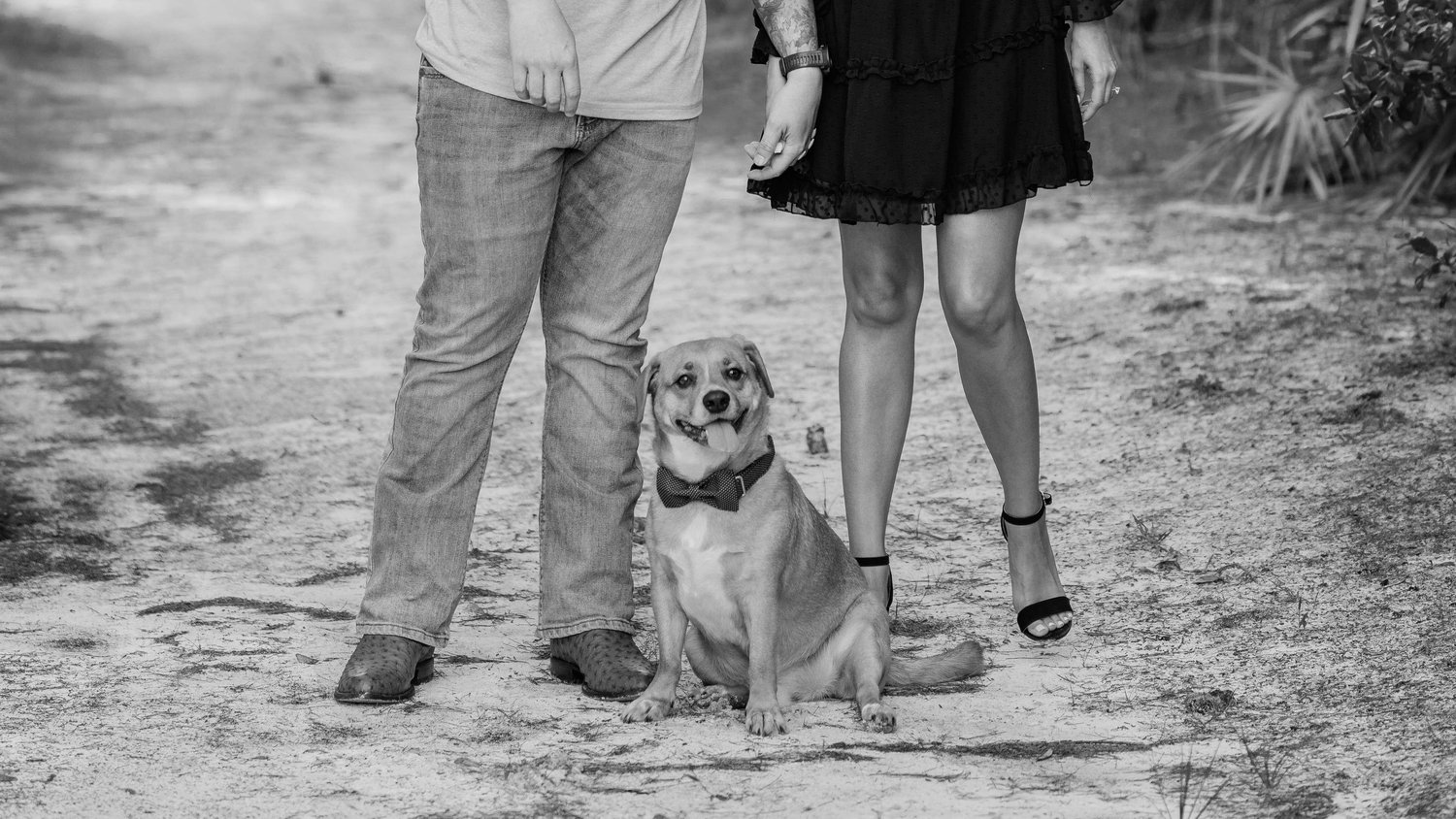 The Wedding Website of Kylie Strain and Daniel Strain