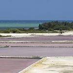 Centro Interpretativo Las Salinas (Salt Flats)