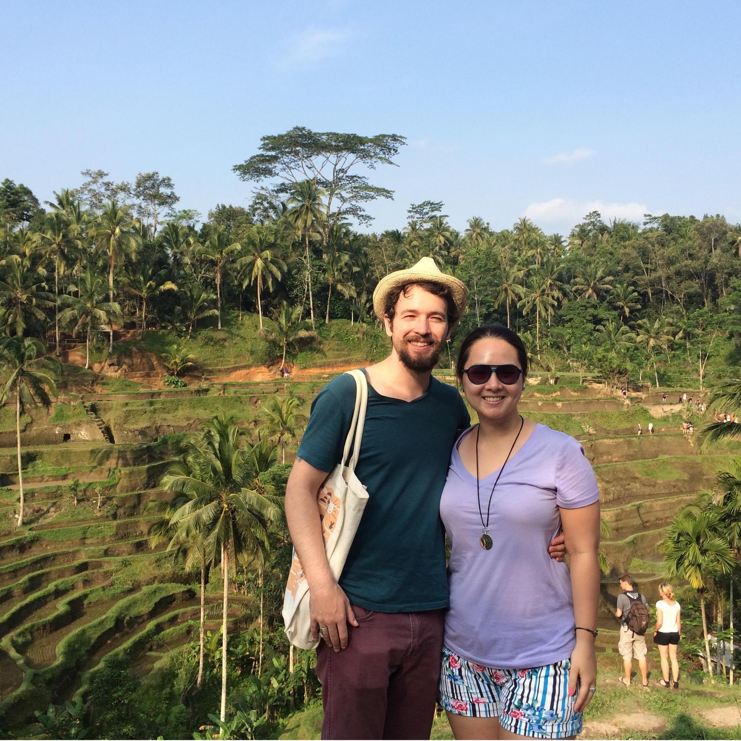 Rice paddies in Bali, Indonesia (2015)