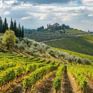 Food and Wine Tour in Tuscany for 2