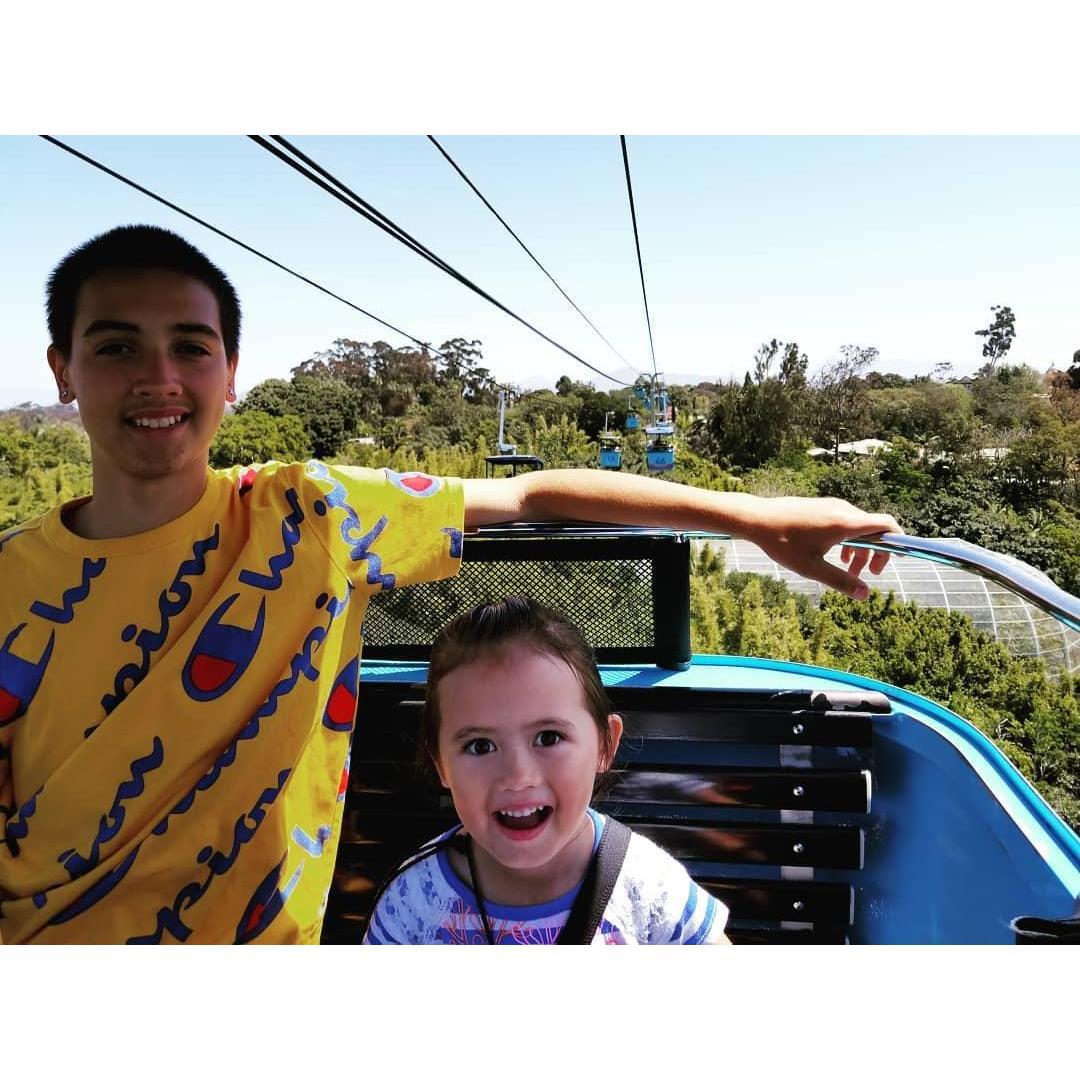 Living in San Diego, we get to take advantage of the wonderful world famous zoo.