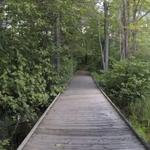 Rhinelander Riverwalk