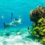 Snorkeling with Scuba Du