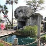 Captain Hook's Adventure Golf