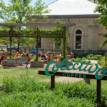 Colectivo Coffee Lakefront