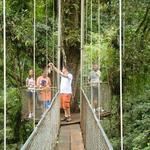 Geckotico Tours And PapagayoGofishing