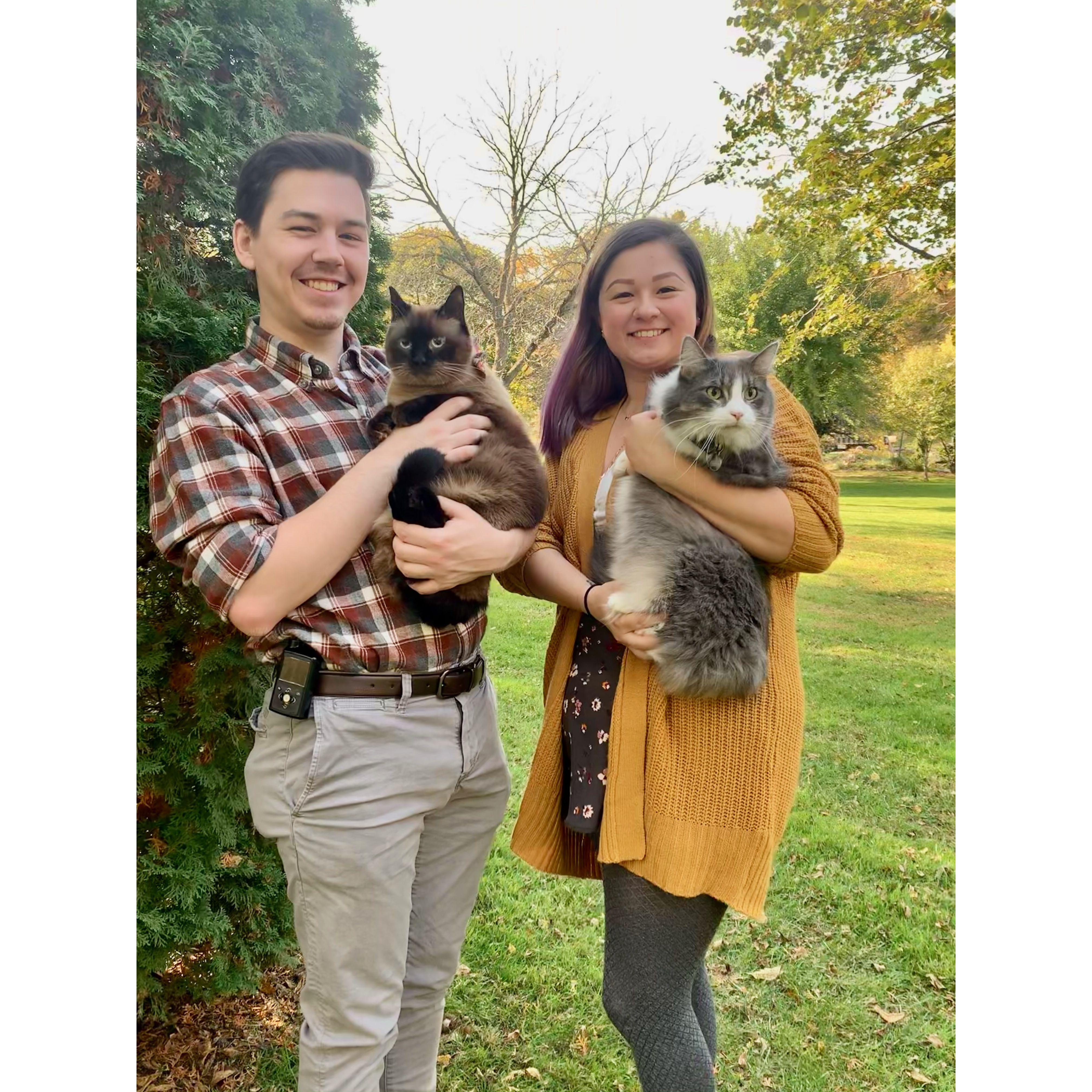 Photo shoot with our kitties! 2020