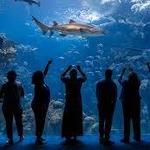 The Florida Aquarium