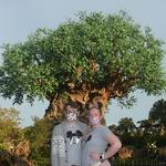 Animal Kingdom