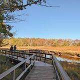 Rachel Carson National Wildlife Refuge