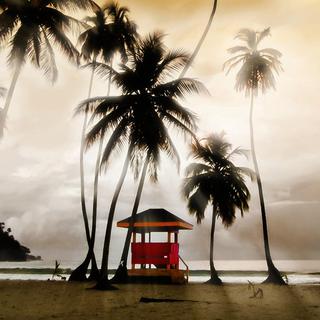 Eco-Cultural Experience for 2 - Trinidad & Tobago