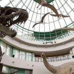 North Carolina Museum of Natural Sciences