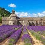 L'Abbaye de Sénanque