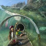 Zoo Miami