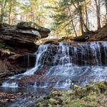 Cobblehaus At The Falls Tap Haus