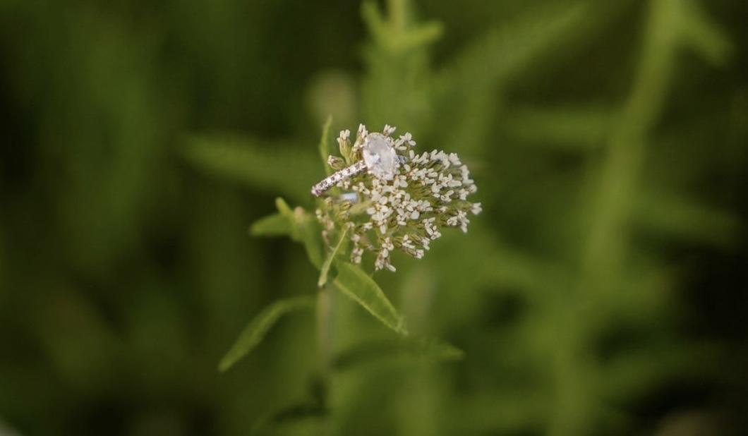 The Wedding Website of Talia McDonald and Kase Gulley