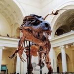 Field Museum