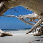 Little Talbot Island State Park