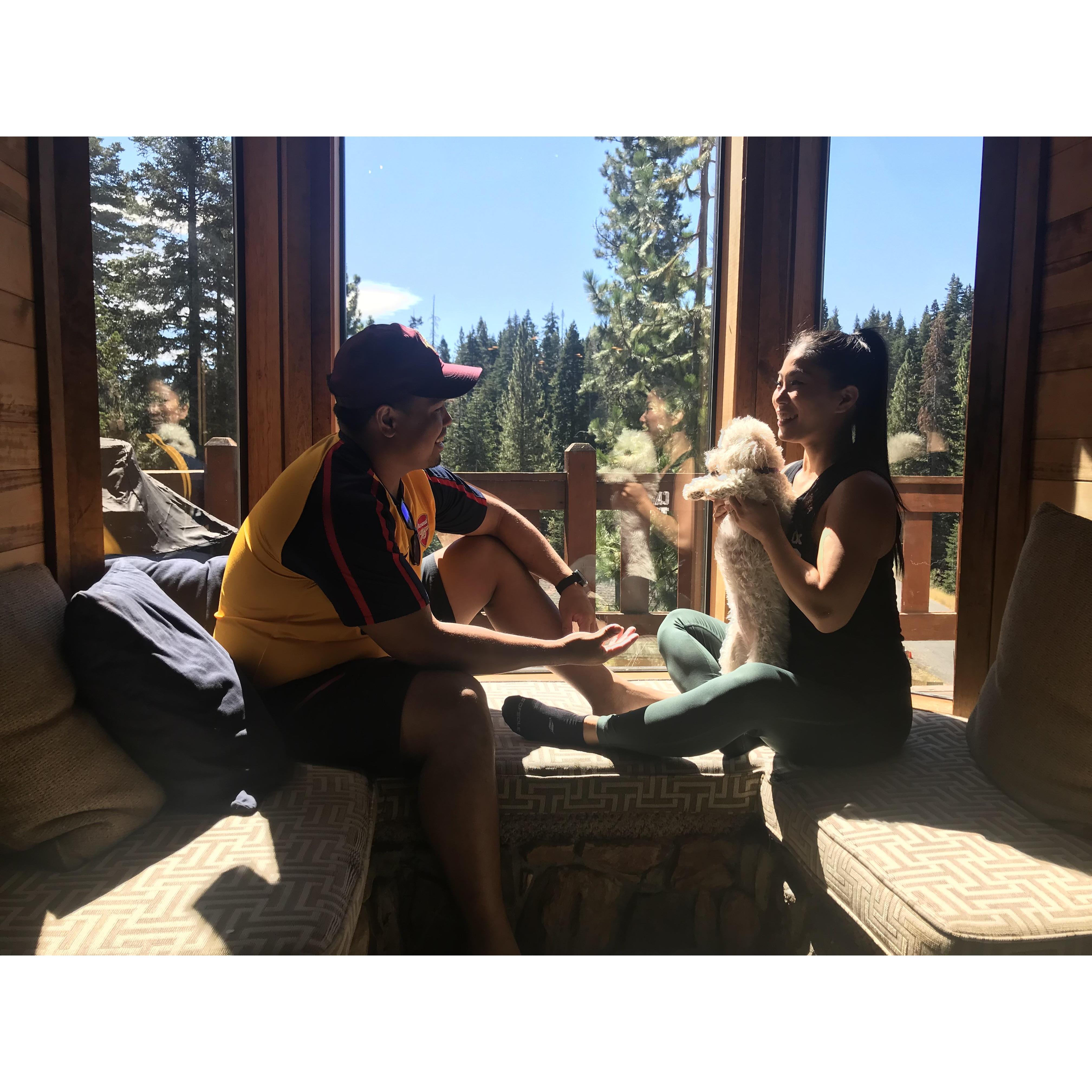 Sharon showing Brent what kind of puppy she’d like for him to buy her as a “random” surprise