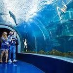 Acuario de Veracruz