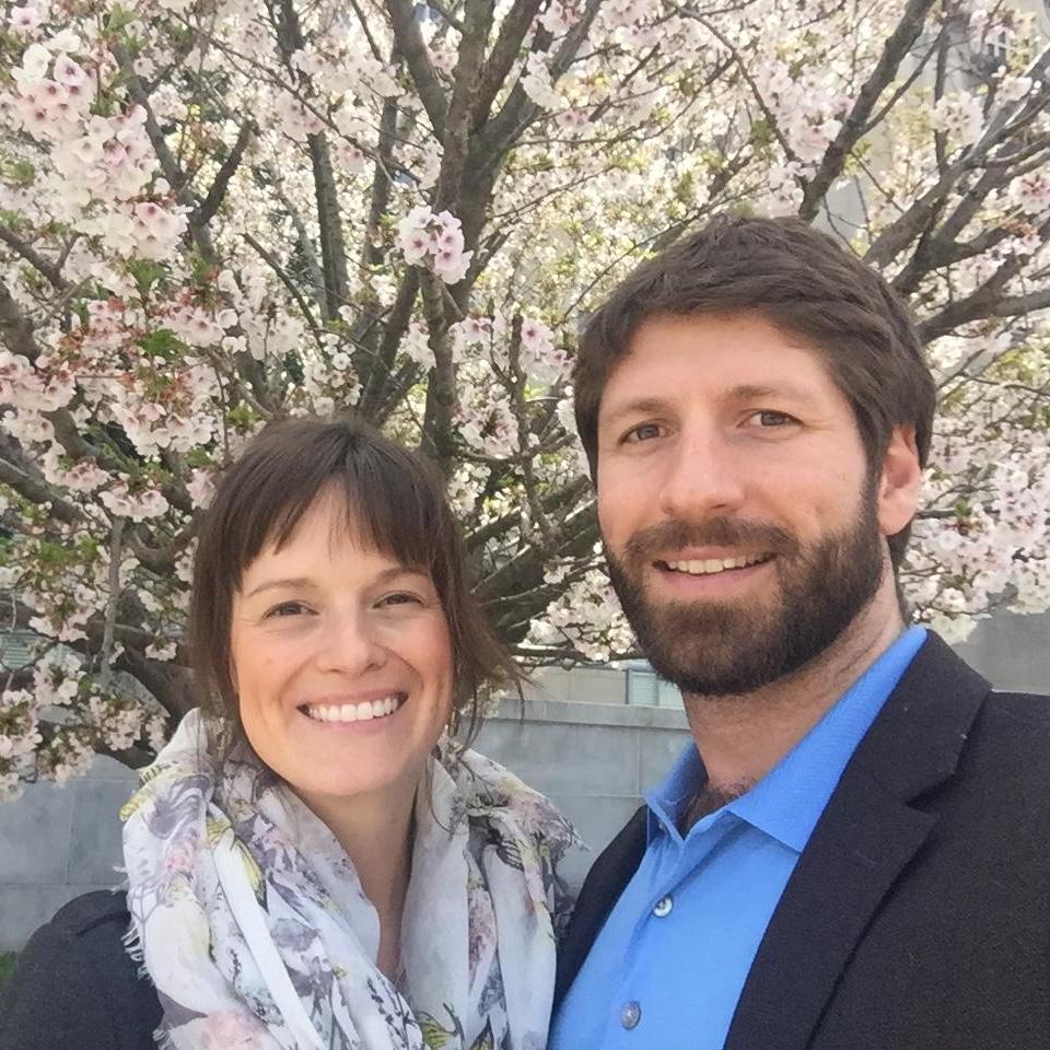 Cherry Blossoms - Washington, DC