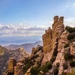 Mount Lemmon