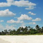 Visit the Beach!